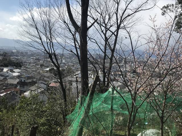 (179738)