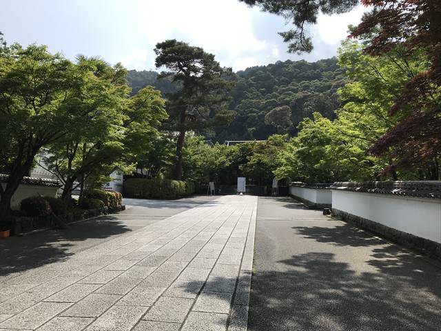 (185336)