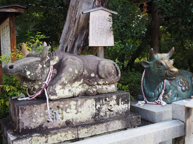 学問の神 菅原道真を祭神とする『長岡天満宮』で合格祈願 - Kyotopi