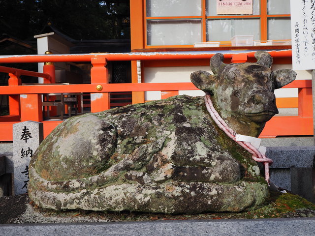 学問の神 菅原道真を祭神とする『長岡天満宮』で合格祈願 - Kyotopi