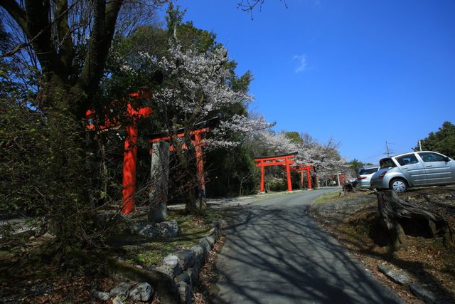 (203883)