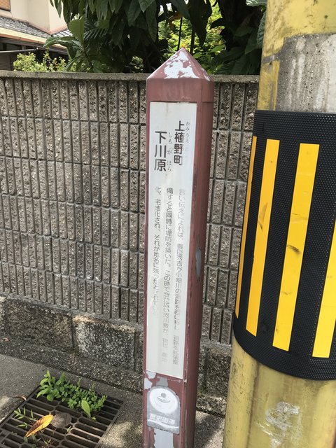 (207718)
