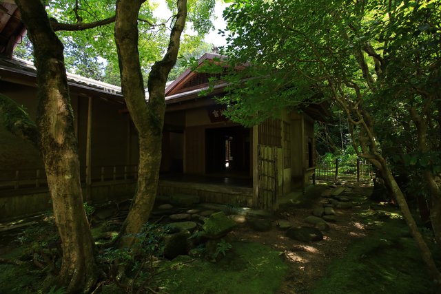 (212056)