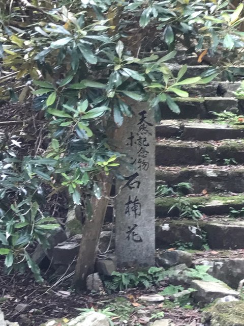 (212643)