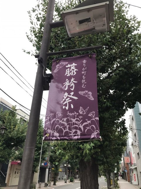 (230484)