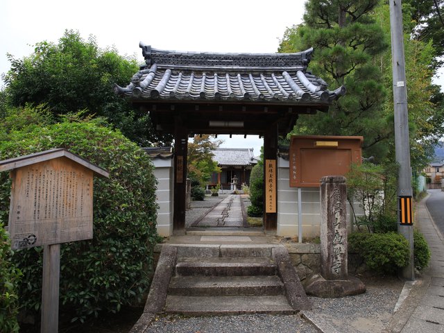 (230568)