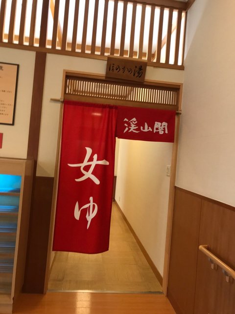 (237508)