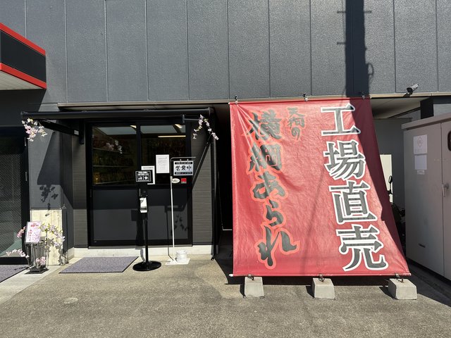 (241681)