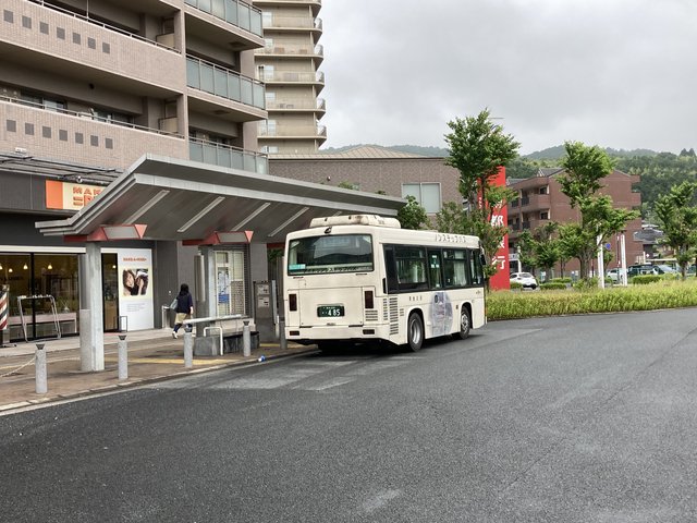 (246430)