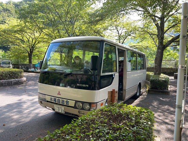 (247310)