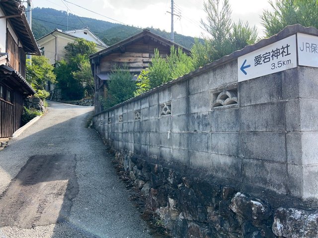 (247313)