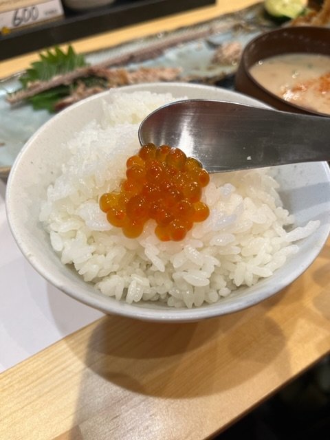 (250019)