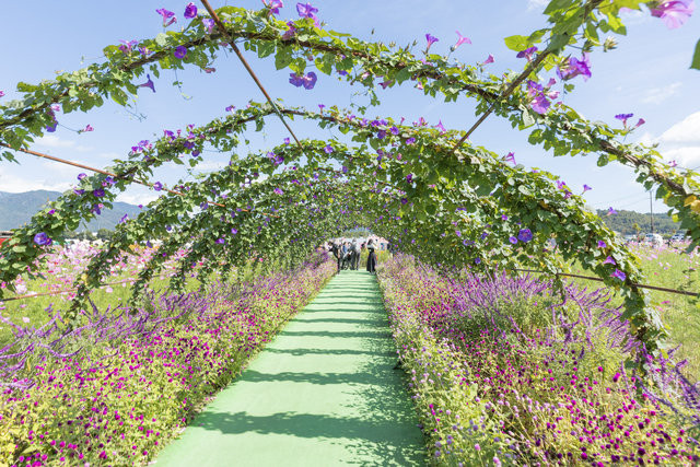 (252094)