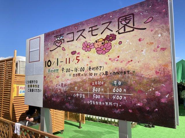 (252266)
