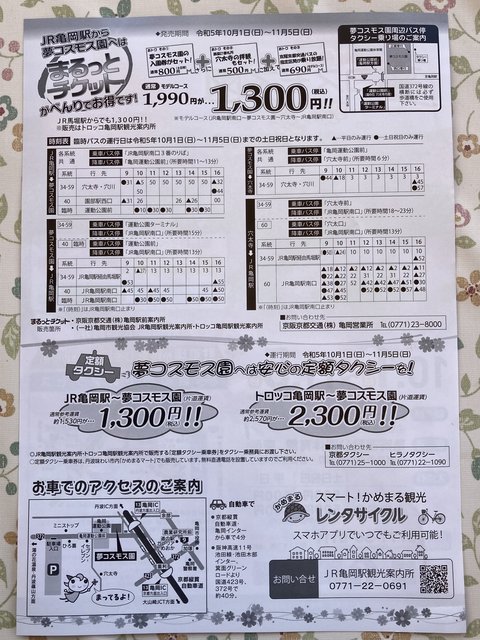 (252268)