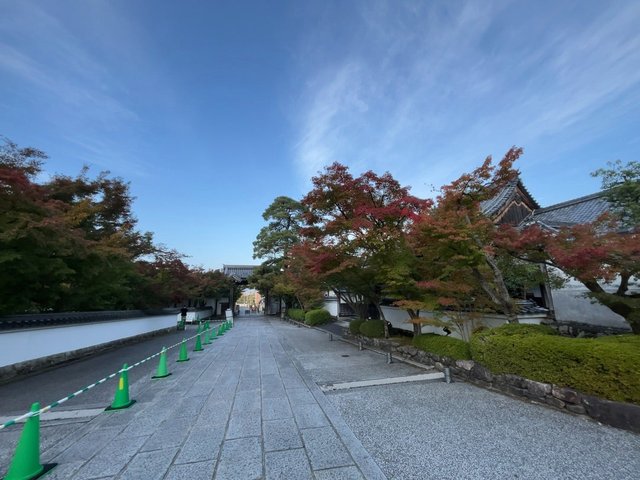 (253303)