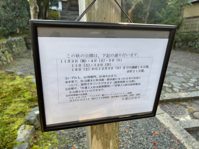 (253307)