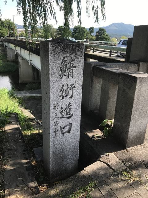 (254974)