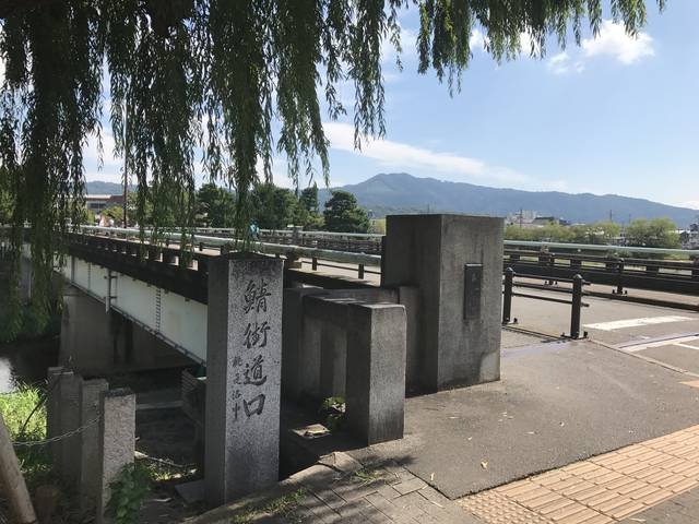 (254975)