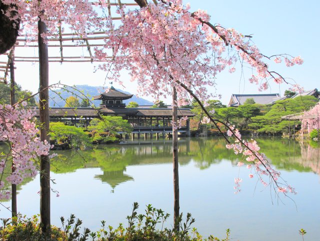 藤花 (262603)