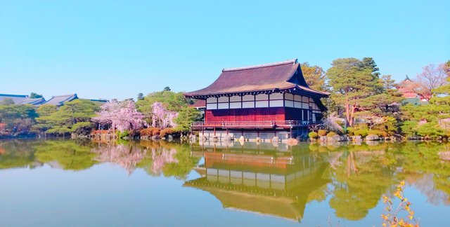 尚美館と桜