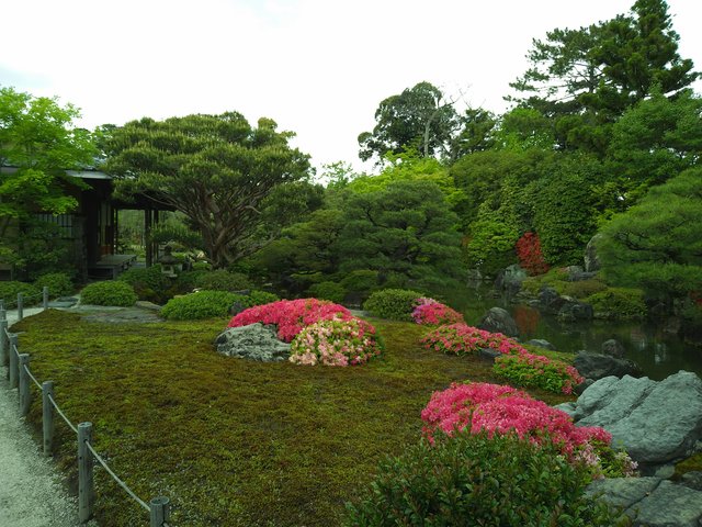 藤花 (263308)
