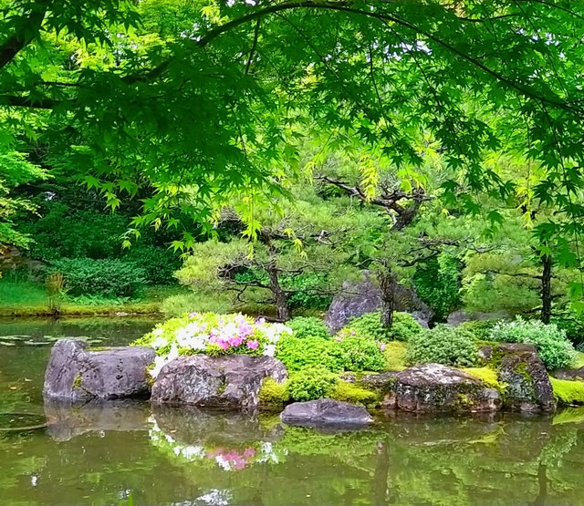 藤花 (263312)