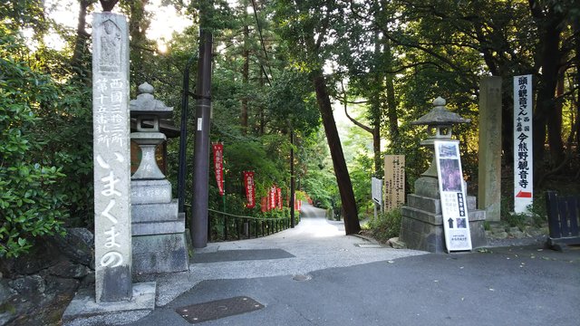 藤花 (264392)