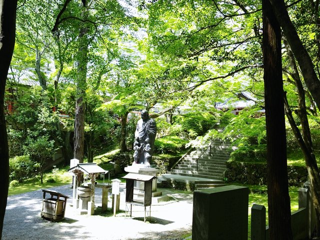 藤花 (264395)