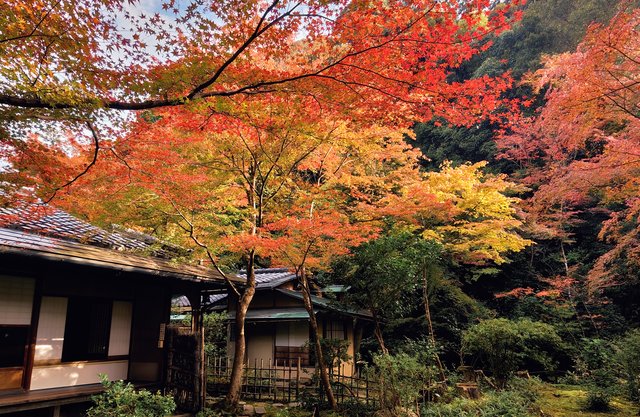 来迎院の紅葉
