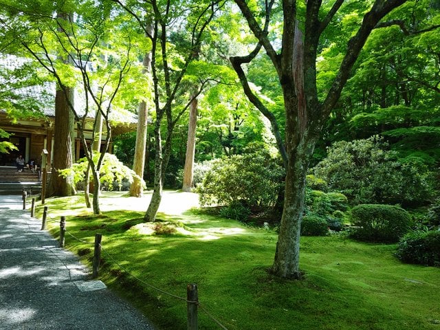藤花 (267374)