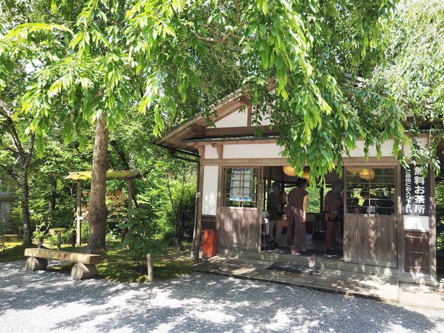 藤花 (267389)