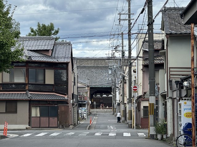 (271795)