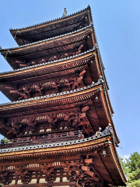 京都の名所、御室「仁和寺」で雅やかなひととき - Kyotopi [キョウトピ