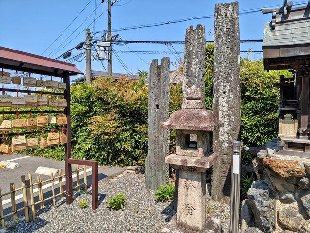 藤花 (285569)