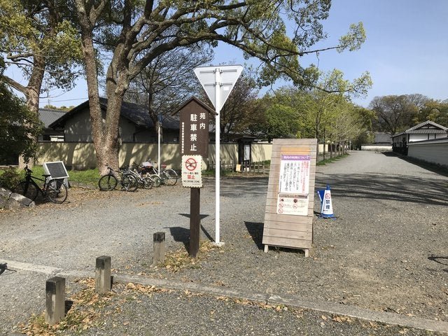 (286206)