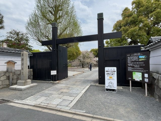 (286215)