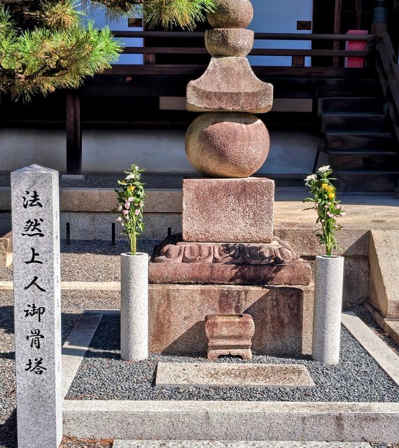 藤花 (293881)