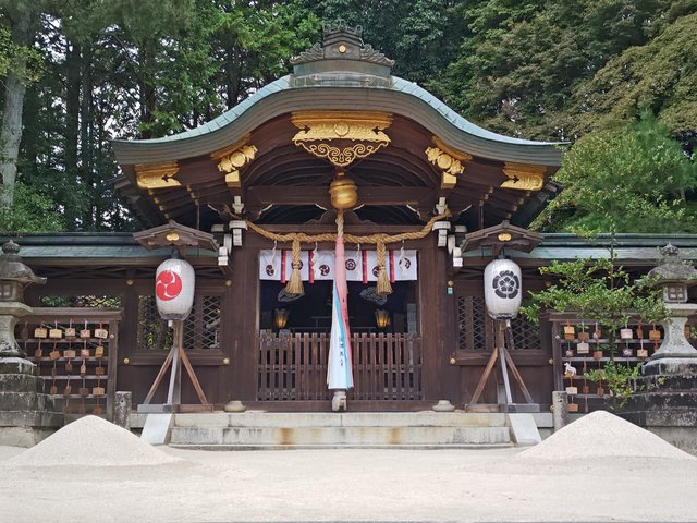 藤花 (295253)