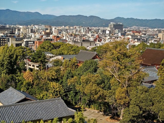 藤花 (295736)