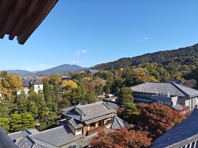 藤花 (295737)