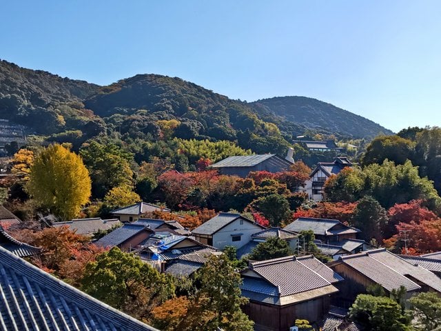 藤花 (295740)