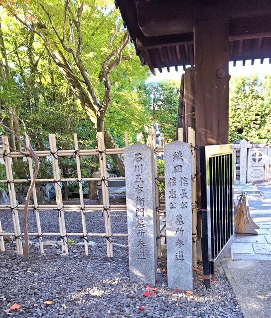 藤花 (295742)