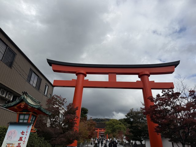 (295869)