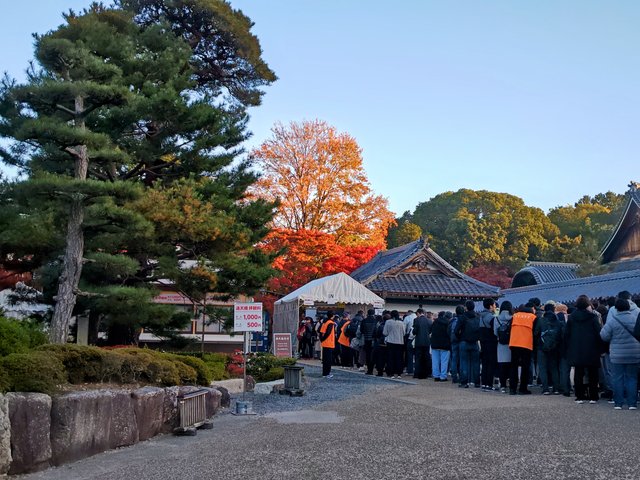 藤花 (295893)
