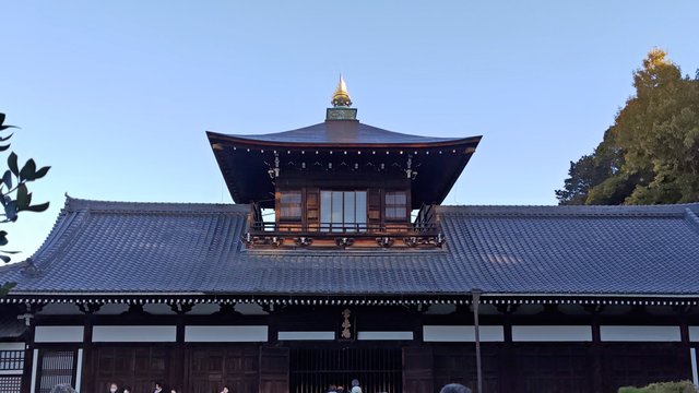 藤花 (295899)