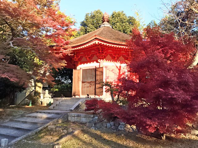 藤花 (295911)