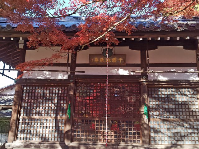 藤花 (296324)