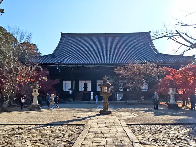 藤花 (296328)