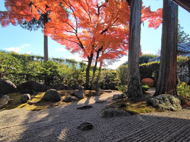 藤花 (296331)
